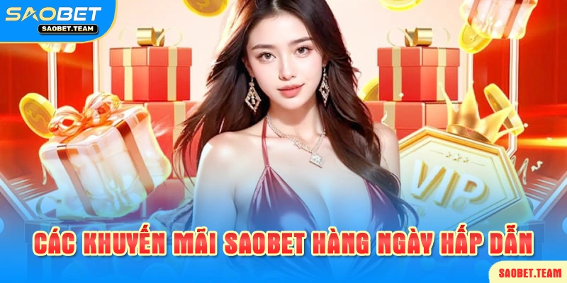 Các chương trình diễn ra hàng ngày