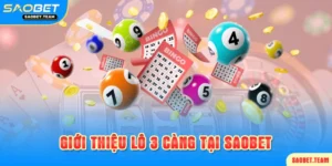 Tổng quan hình thức chơi lô 3 càng